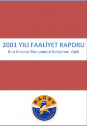 2001 YILI FAALİYET RAPORU 