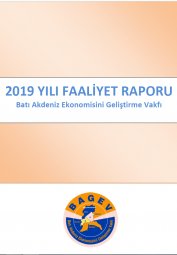 2019 YILI FAALİYET RAPORU 